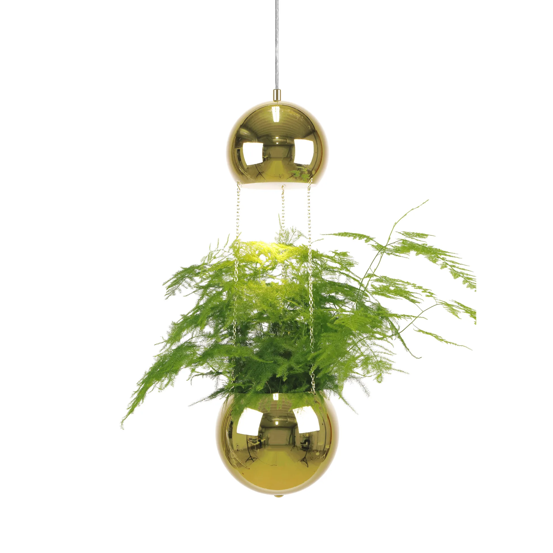 Planter ceiling lamp with flower pot, brass Globen Lighting