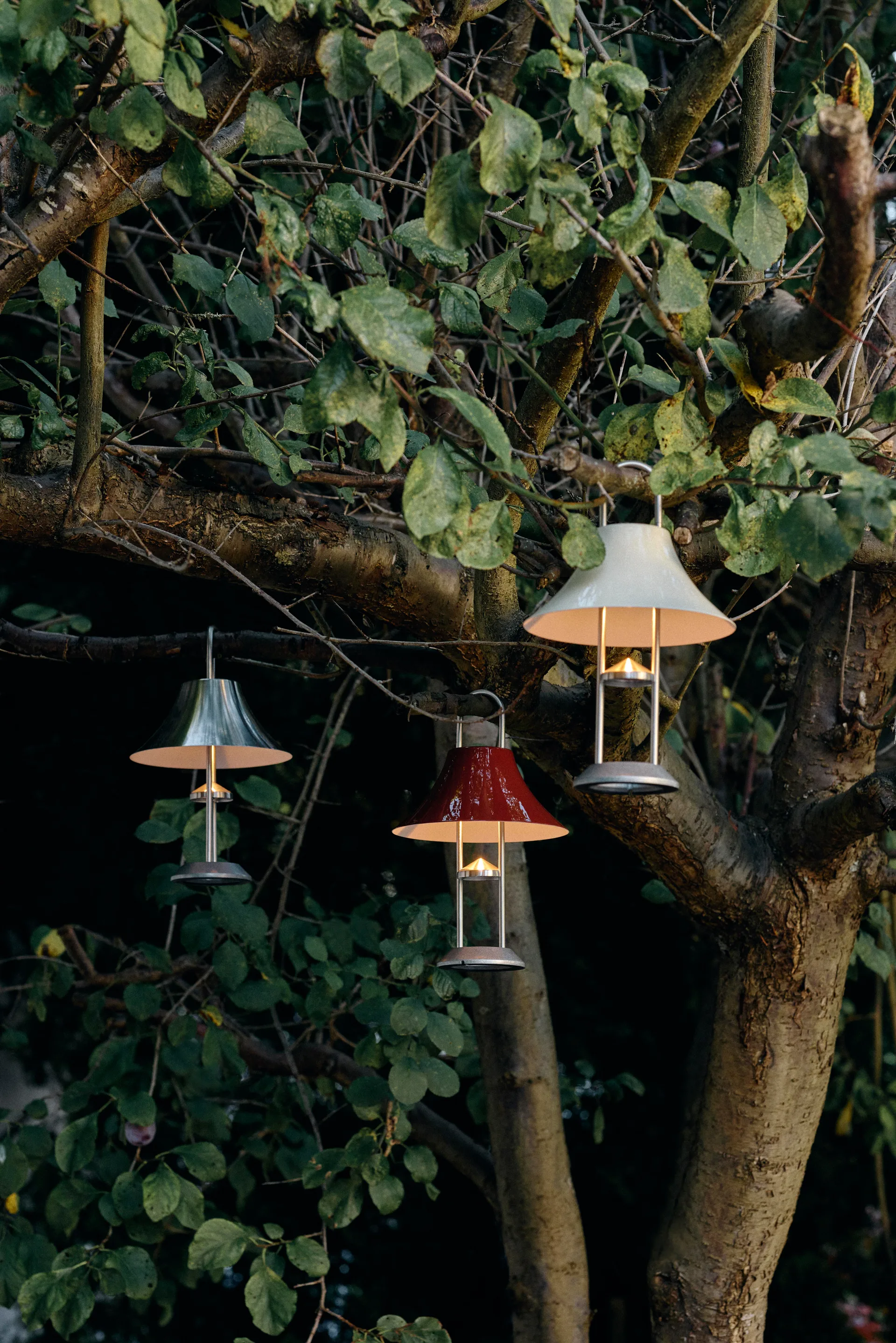 Mousqueton tragbare Tischleuchte 30,5cm, Brushed stainless steel HAY