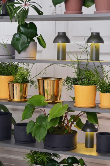 PC Portable table lamp - Olive - HAY