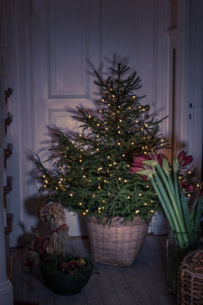 Julgransslinga 200 ljus 240 cm - Grön - Konstsmide