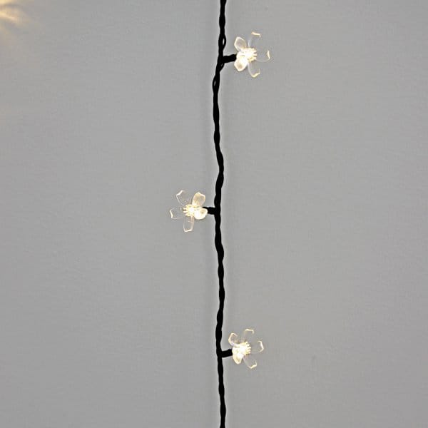 Bloom Lichterkette 10 m - Blüte - Lightson
