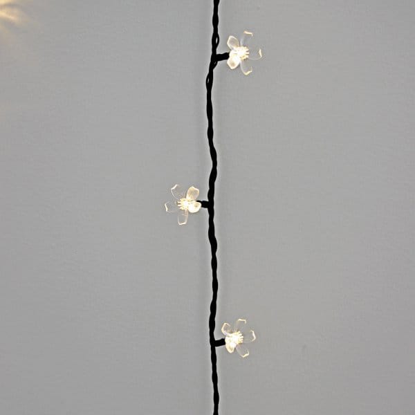 Bloom String Lights 10 m - Bloom - Lightson