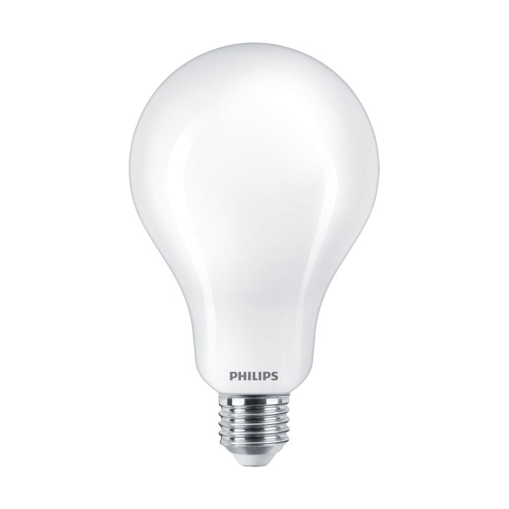 Philips Philips standard frosted E27 LED 16,5 cm