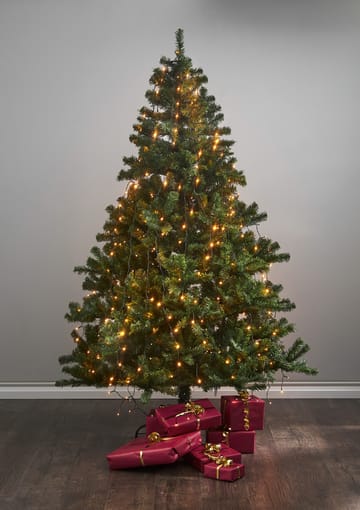 Golden string lights warm white - Green - Star Trading