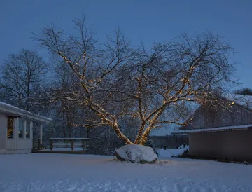 Star Trading system LED starter cable - 180 cm - Star Trading