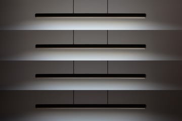 Haselzweig 1,5m Pendel - Black-brass - Umage