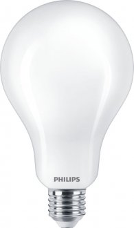 E27 23W LED Normal warm white Frosted