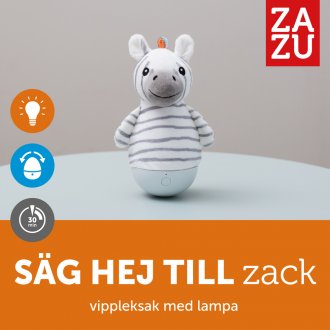 Zack Zebra