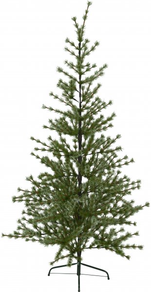 Christmas tree Larix 210cm